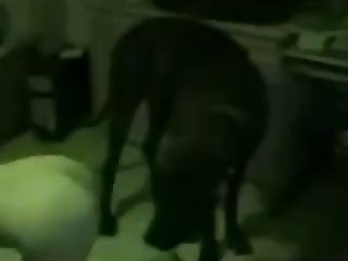 Il Était Toujours En Train De Lécher Tandis Que Maman Se Retournait Et Commençait À Se Tortiller Sous Lui