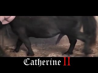 It's Ok I Answered Knowing What Had Gotten Into Him Or Me