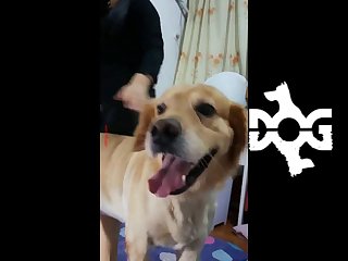 Overused Cunt And Anus From Her Rape And Buggery The