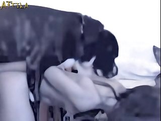 Gilf Videos