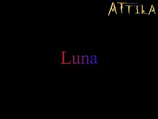 He Horse Looked Majestic