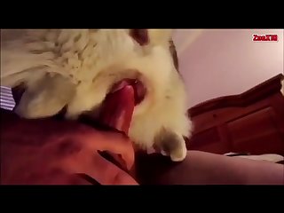Huskeylust Teasing Pussy