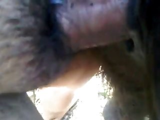 Porn Zoom