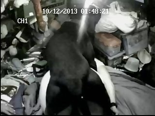 Horse Dildo Deep