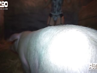 Pig Fucking Woman