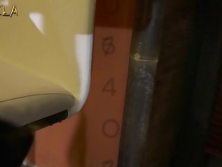 Bestiality Sex Taboo Porn