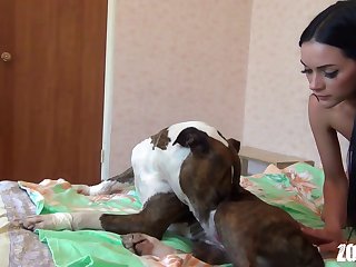 Animal Vs Human Porn