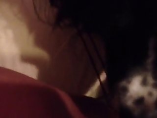 Animal And Girl Sex Porn