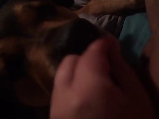 Women Animal Dog Sex Porn