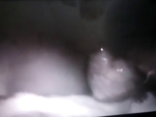 Cheela Animal Porn