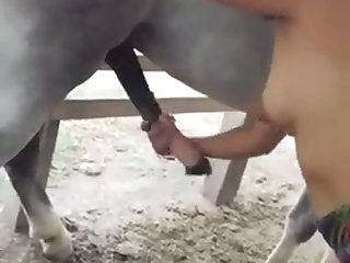 Zoophilia Porn Extreme