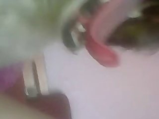 Tickzoo Tube