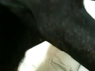 Tickzoo New Site