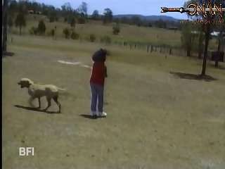 Zoofilia Gay Dogs