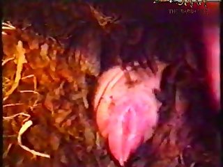 Videos Pornos Zoofilia
