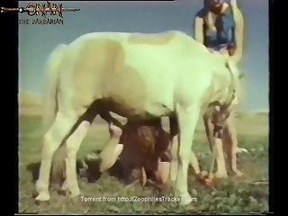 Zoofilia Homem Comendo Vaca