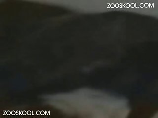 Porno Zoofilia Comic