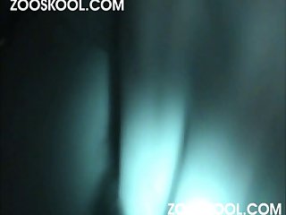 Girl Watching Zoofilia