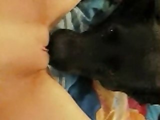 Zoofilia Homen Com Cadela