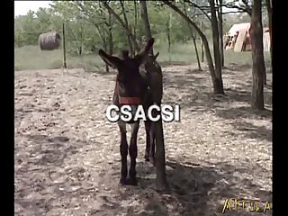 Amateur Extreme Porn