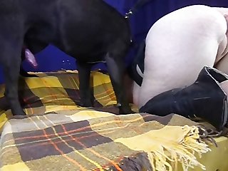 Extreme Animal Perv Porn