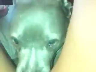 Man Fucks Small Dog