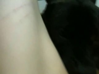 Crossdresser Porn Videos
