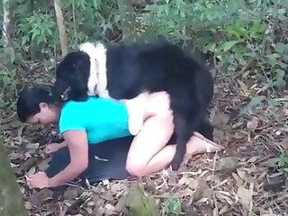Zoophile Porn