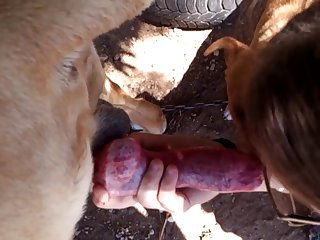 K9lady