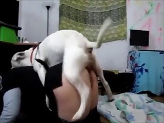 Zoophilia Videos