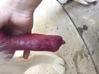 Xxx Zoofilia