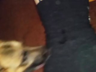 Beastiality Taboo