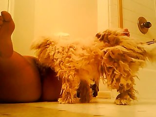 Petsex