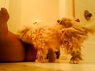 Petsex
