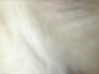 Gay Zoo Porn