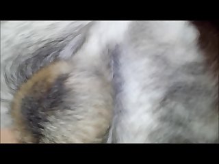 Dog Cum In Mouth