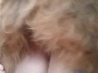 Zooxhamster
