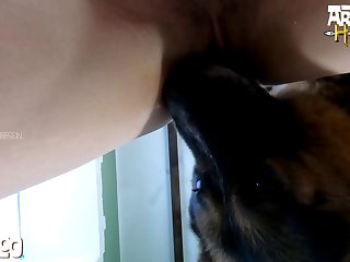 Dog Pron