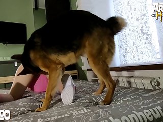 Monster Mutt Dalmatian