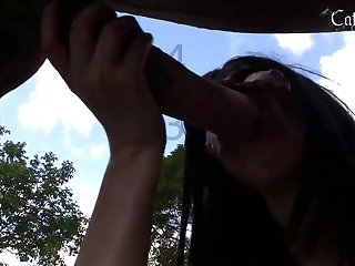 Dog Fucking Pussy
