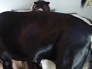 Beastiality Cartoon Porn