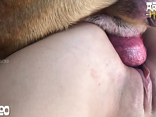 Male Bestiality