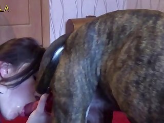 Girl Sucks Dog Cock