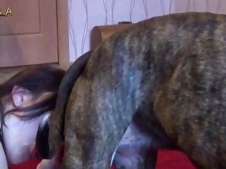 Girl Sucks Dog Cock
