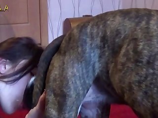 Girl Sucks Dog Cock