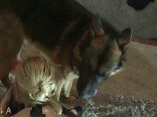 Amateur Woman Lets Dog Fuck Her