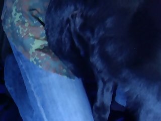 Man Fuck Dog Free Video