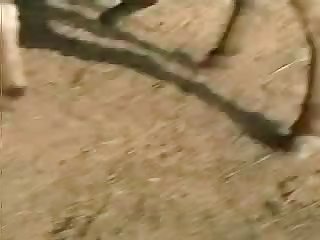 Home Alone Girl Fuck Dog