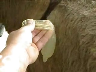 Home Alone Girl Fuck Dog