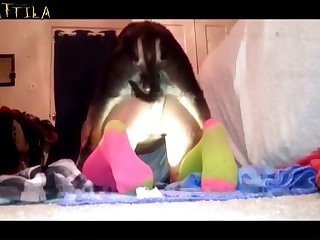 Fuck With The Dog